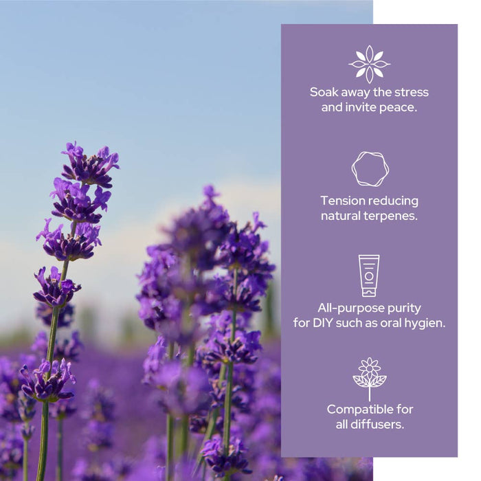 Lavender Essential Oil | Therapeutic Grade | 4oz (120ml)