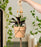 Seed & Sprout Let's Hang Macrame Plant Hanger