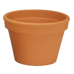 Pot Clay German Azalea 7.75”x6"