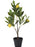 Potted Lemon Tree Artificial 60cm