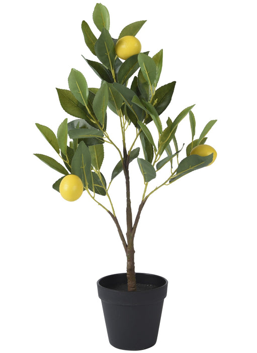 Potted Lemon Tree Artificial 60cm