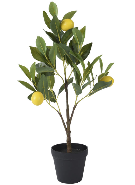 Potted Lemon Tree Artificial 60cm