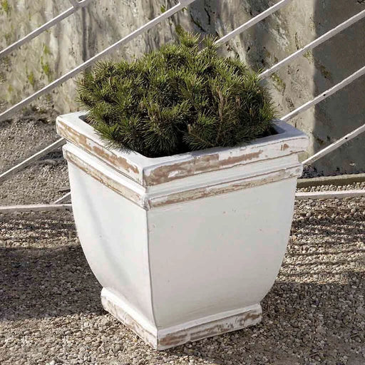 Square Rolled Rim Planter - Antique White