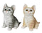Kitten Looking Up Grey/Orange Stripe