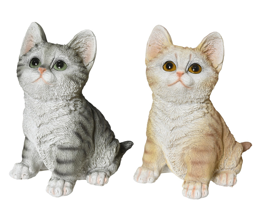 Kitten Looking Up Grey/Orange Stripe