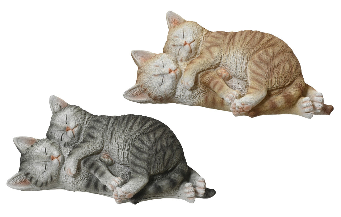 Kittens Sleeping