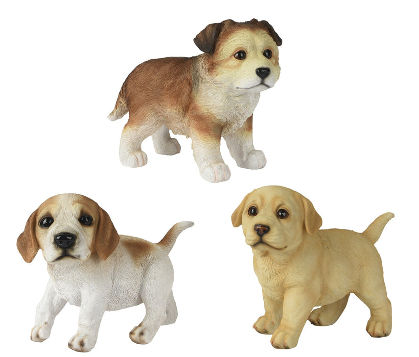 Puppy Standing