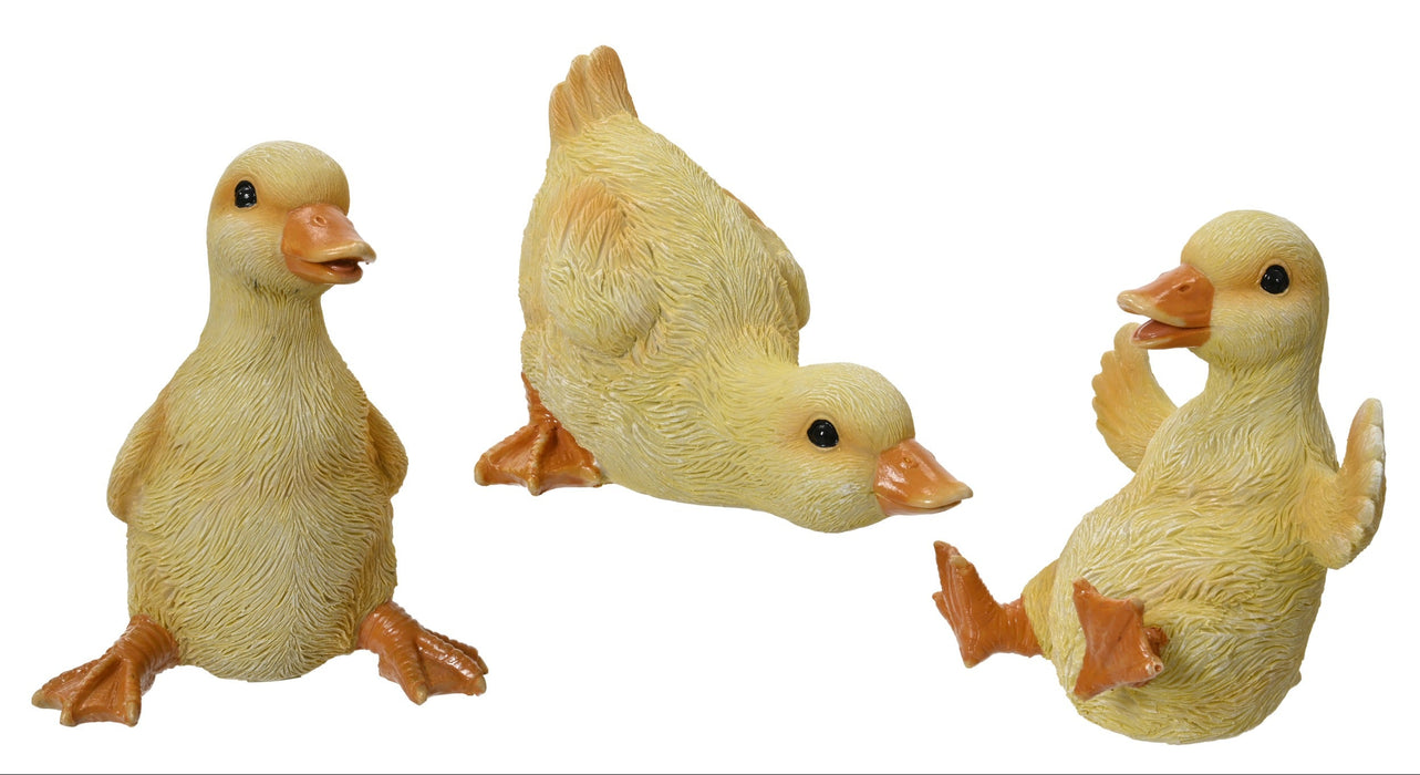 Duckling 3 Poses