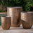 Riga Planter-Bronze