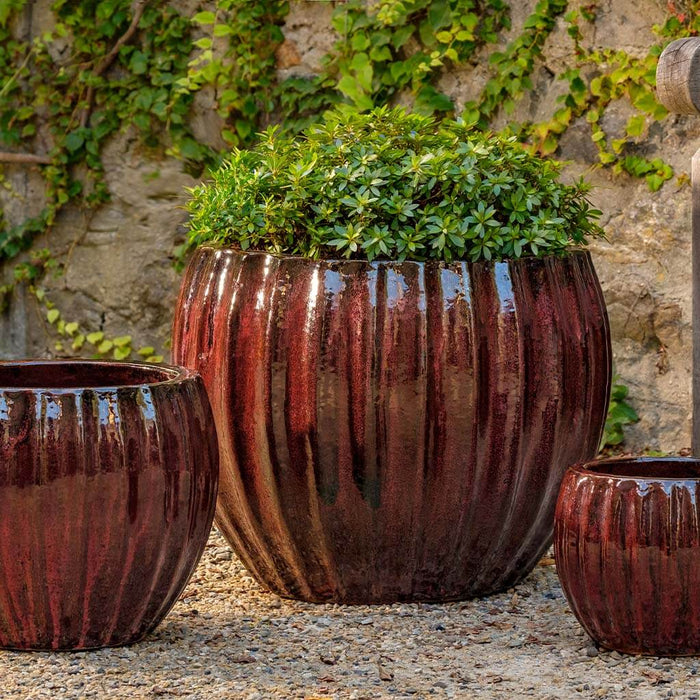 Cabernet Planter- Bordeaux