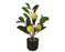 Potted Lemon Tree Artificial 27cm