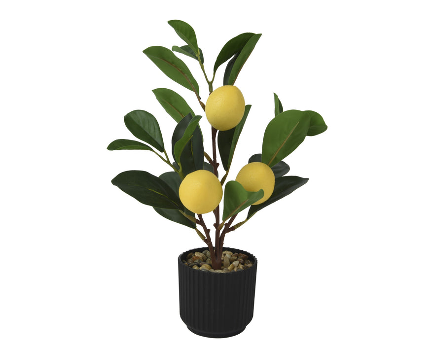 Potted Lemon Tree Artificial 27cm