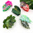 Acetate Leaf Hair Claw Clip, Monstera Leaf Hair Clip