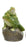 Frog with Sensor