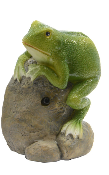 Frog with Sensor