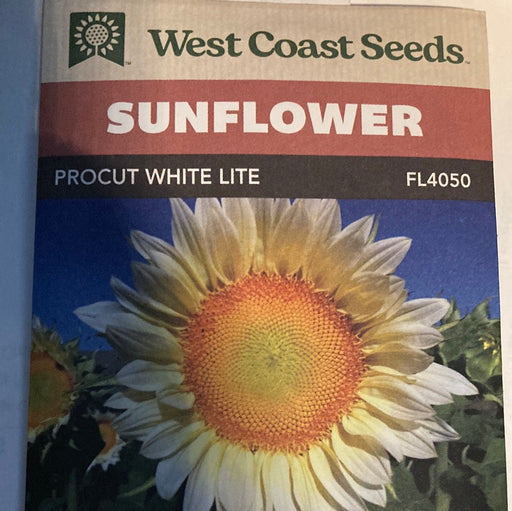 Seed WC Sunflower Procut White Lite