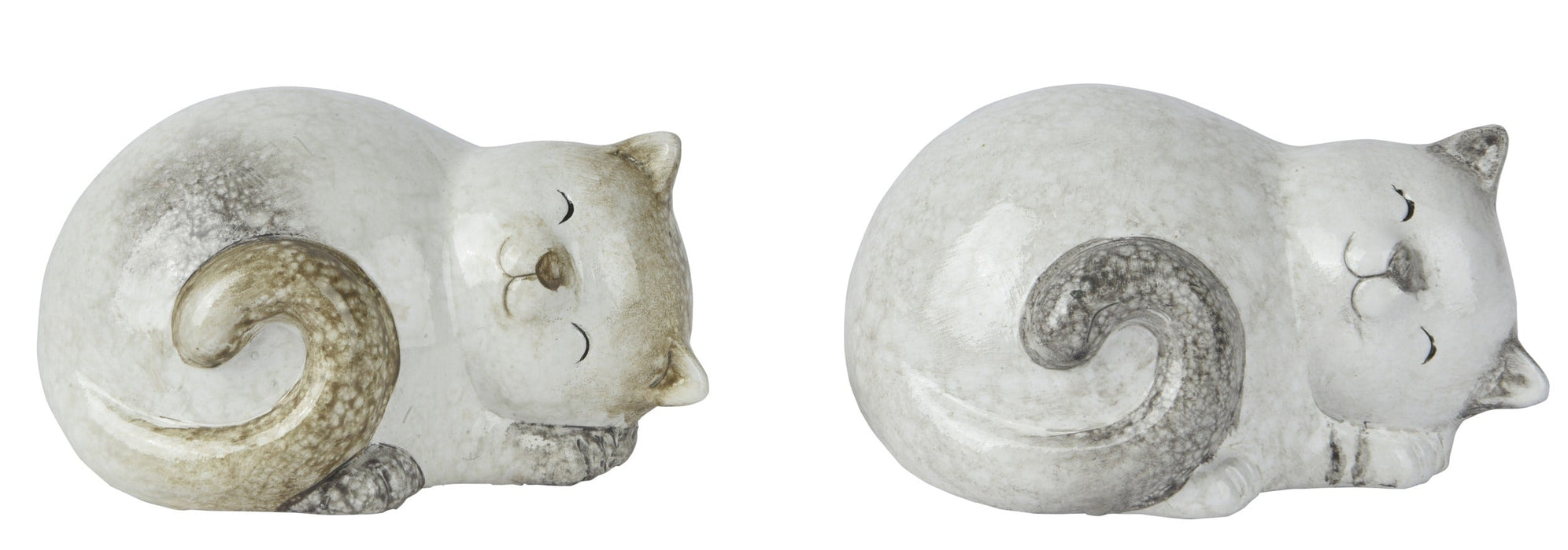 Cat Sleeping Assorted