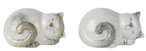 Cat Sleeping Assorted