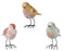 Spring Birds Assorted
