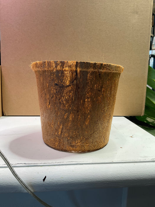 Coco Coir Pot 5" biodegradable