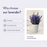 Dried English Lavender Bouquets - Deep Purple