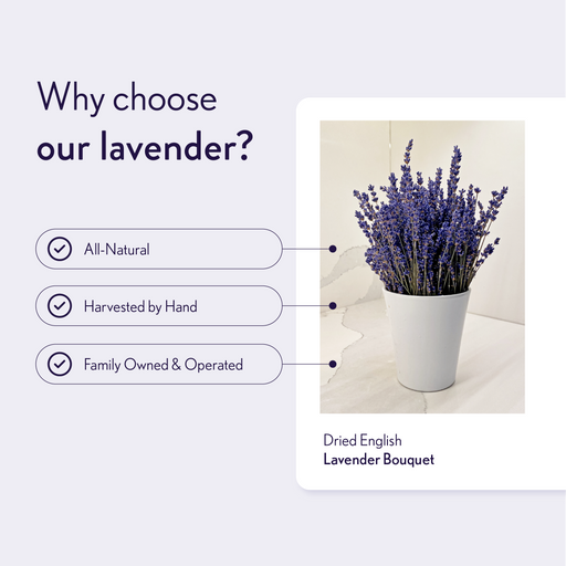 Dried English Lavender Bouquets - Deep Purple