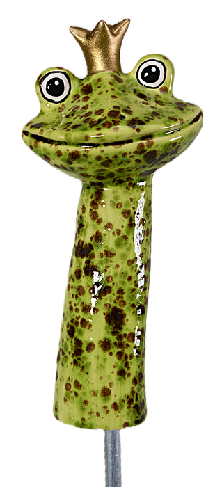 Frog Prince