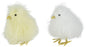 Fluffy Baby Chick White/Yellow