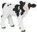 Holstein Calf White/Black 24cm