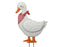 Garden Stake Duck White w/Kerchief 61cm