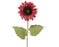 Sunflower Red 74cm Artificial