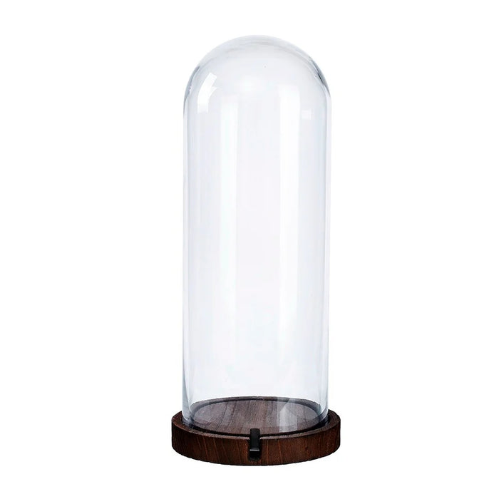 Cloche Clear Glass Dome w/Wood Base 16"