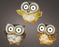 Solar Owl 3 Assorted