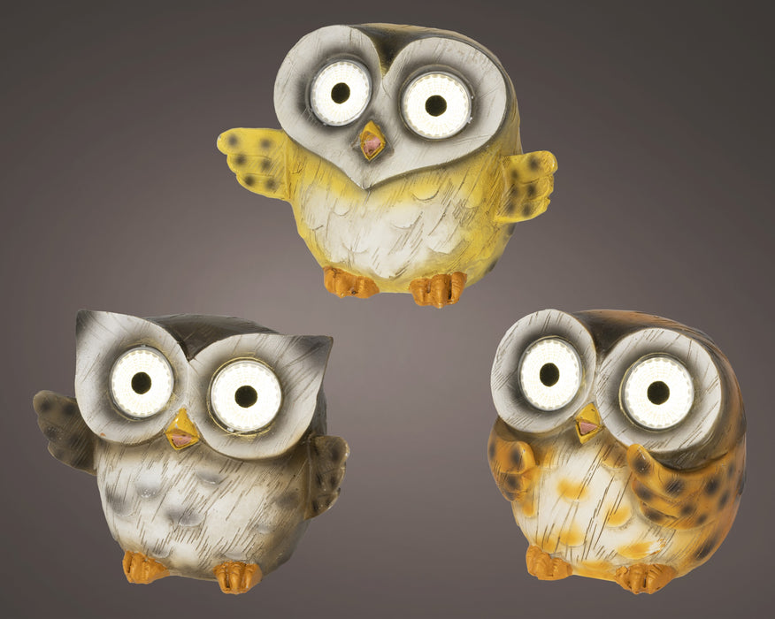 Solar Owl 3 Assorted