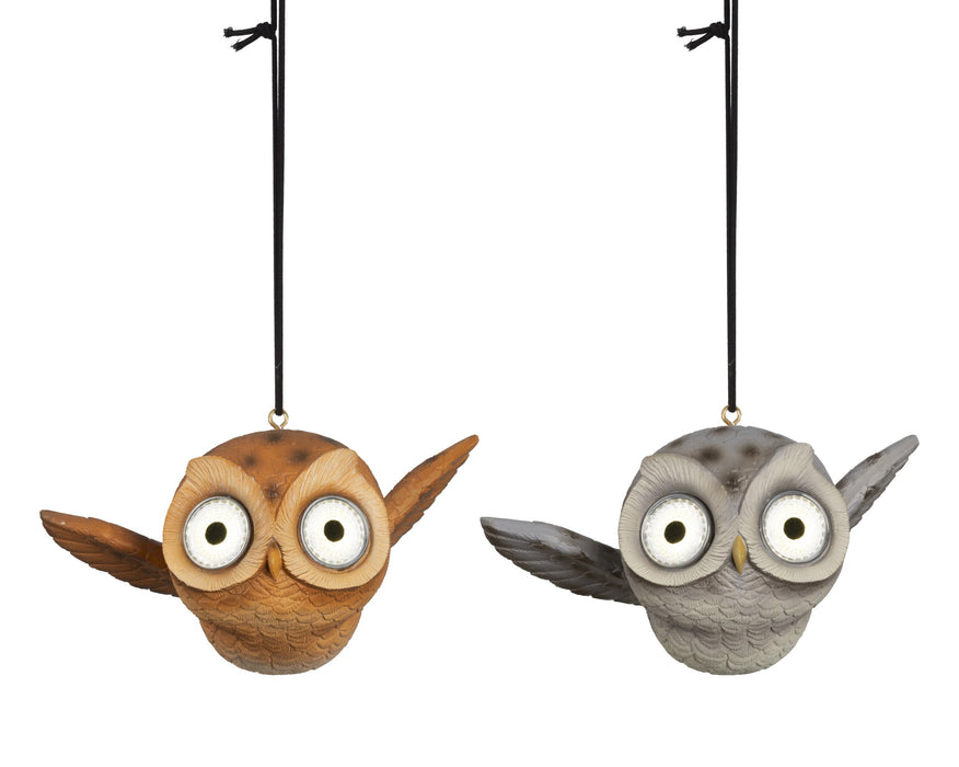 Solar Owl Grey/Brown Flying
