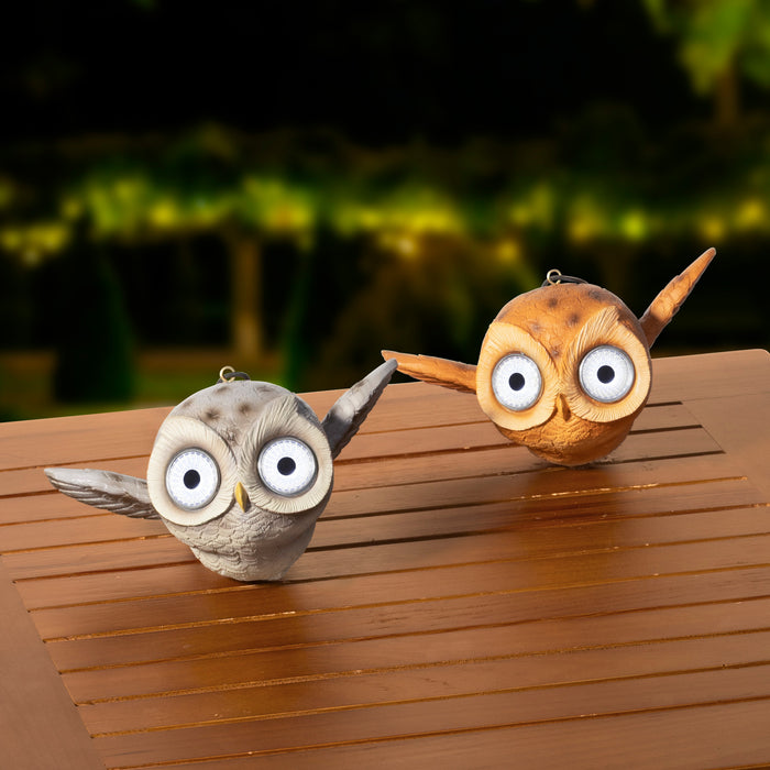 Solar Owl Grey/Brown Flying