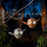 Solar Owl Grey/Brown Flying