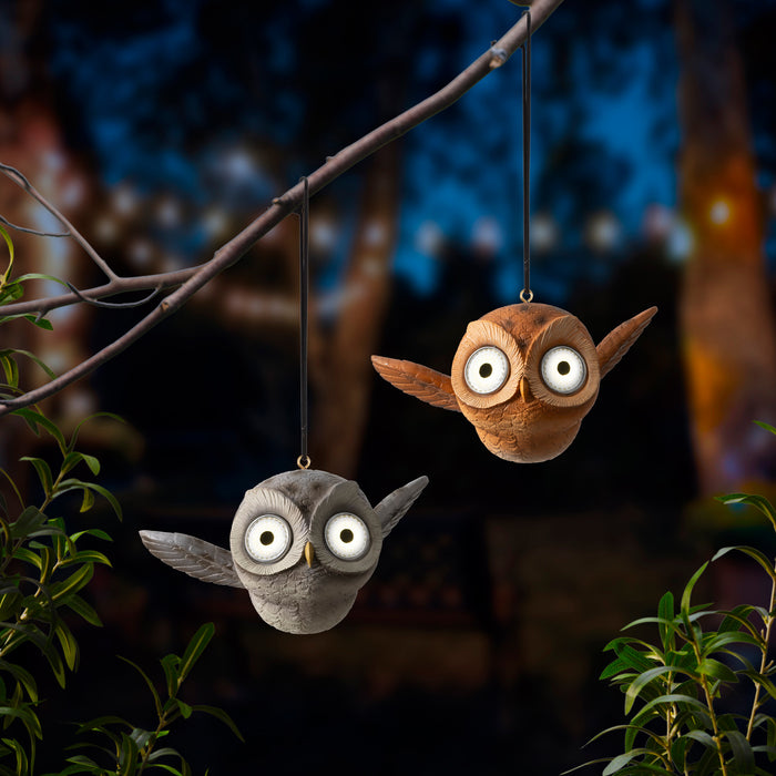 Solar Owl Grey/Brown Flying