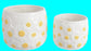 Pot White Daisies Large