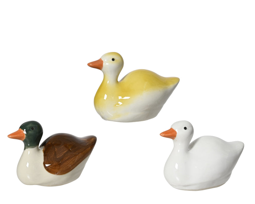 Duck 5.5cm Porcelain Assorted