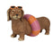 Dog Dachshund with Life Preserver
