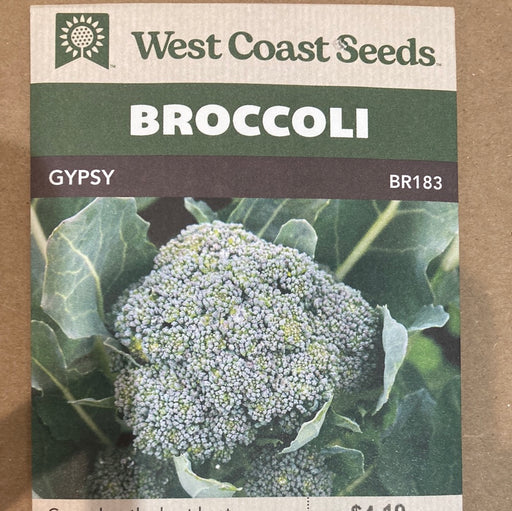 Seed WC Broccoli Gypsy