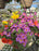 Annual Basket #621 Saffron Sunrise