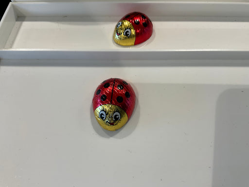 Lady Bugs in Foil