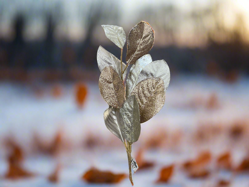 Spray Magnolia Leaf