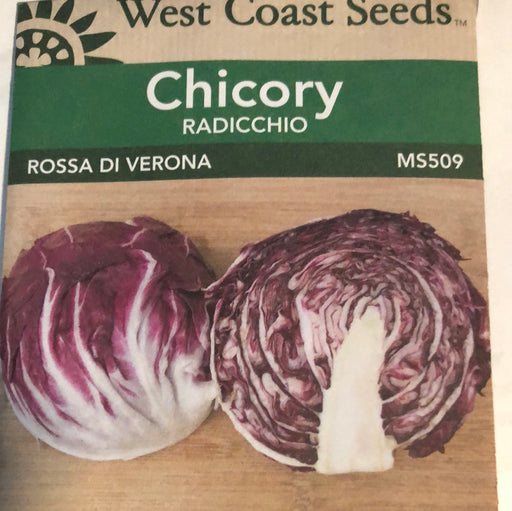 Seed WC Chicory Radicchio Rossa Di Verona