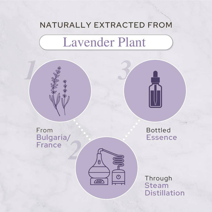 Lavender Essential Oil | Therapeutic Grade | 4oz (120ml)