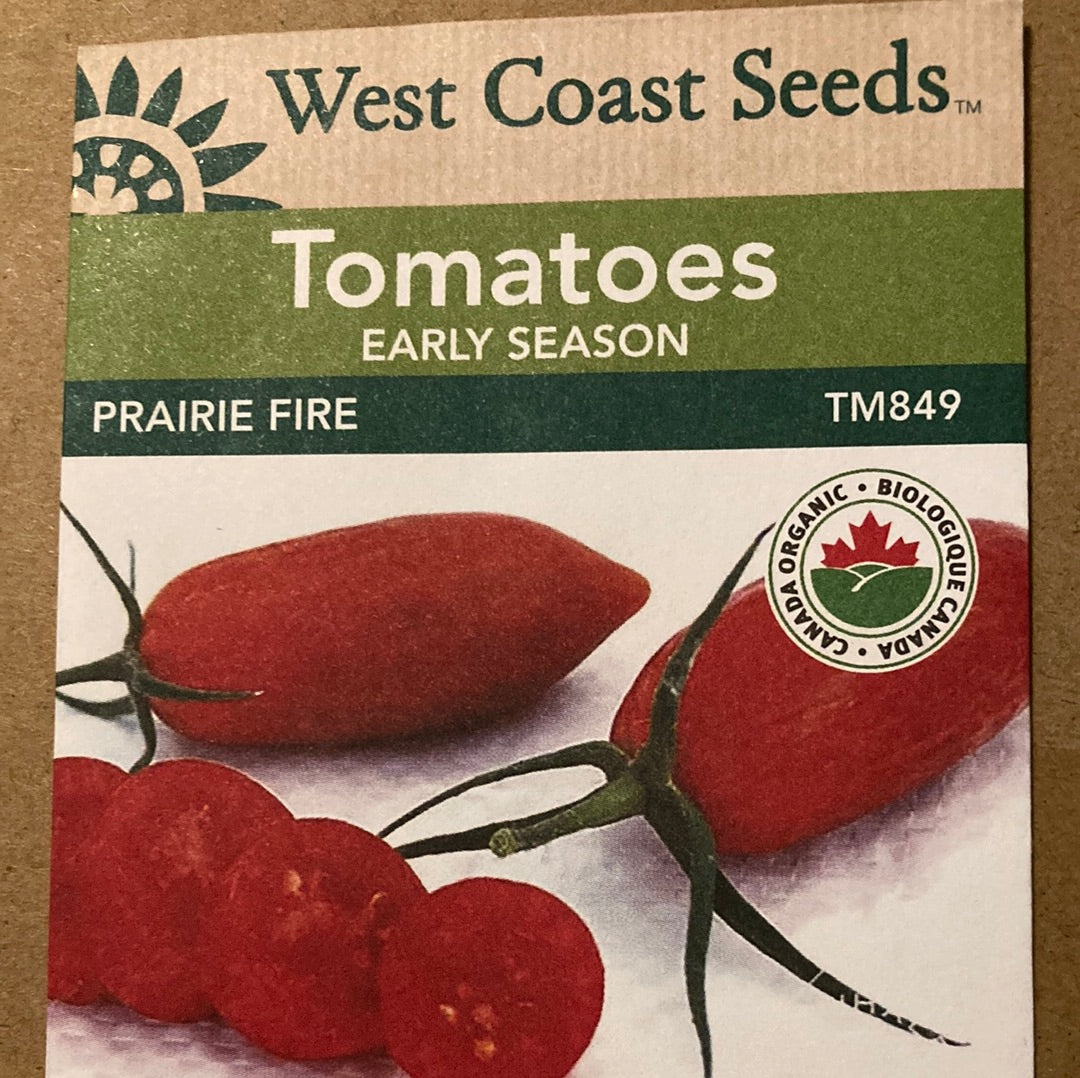 Seed WC Tomatoe Prairie Fire — Dutch Growers Regina
