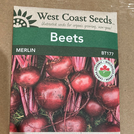 Seed WC Beets Merlin