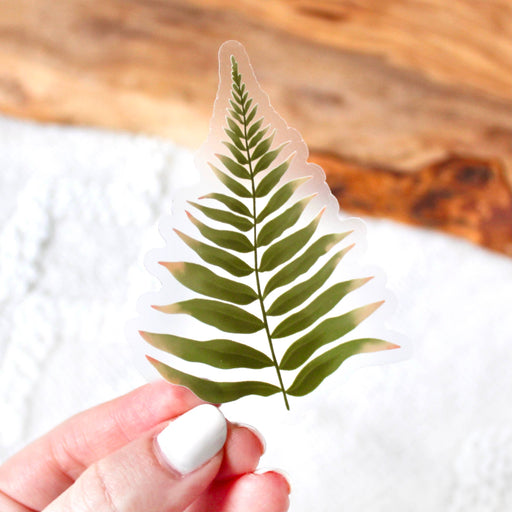 Boston Fern Leaf Sticker 3.25x2.5in